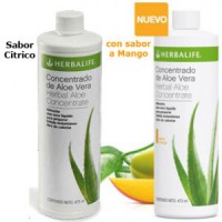 bebida de concentrado herbal aloe sabor original o mango 